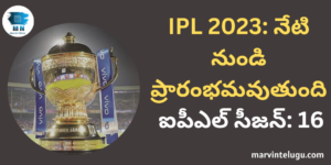 The Indian Premier League (IPL) is also commonly known as the festival of India. The enthusiasm of this T20 league is rarely seen anywhere