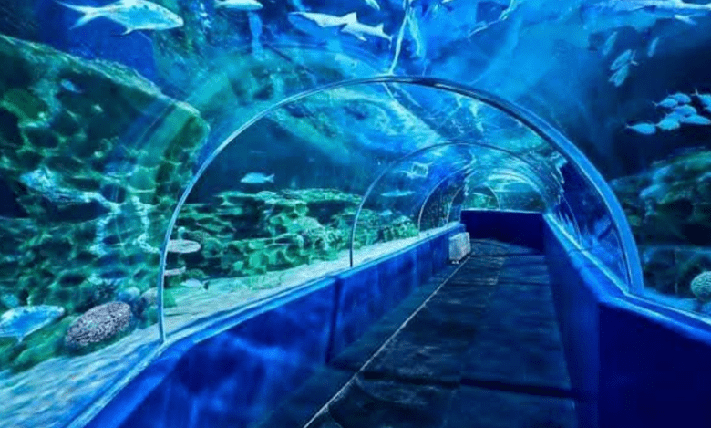 Kotwalguda is the largest aquarium in India.