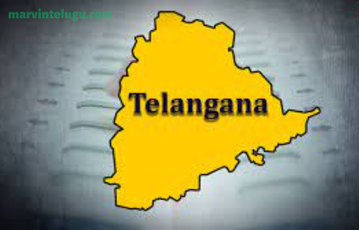 The Maharashtra government will set up a committee to develop the Telangana model in Maharashtra