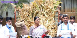 Sharmila sent a lorry full of damaged crops to KCR.