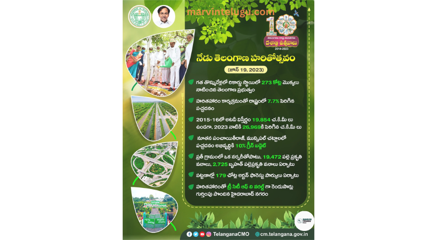 హరితోత్సవం today-is-telangana-green-festival