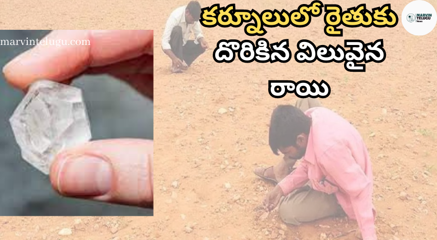 కర్నూలు A precious stone found by a farmer in Kurnool