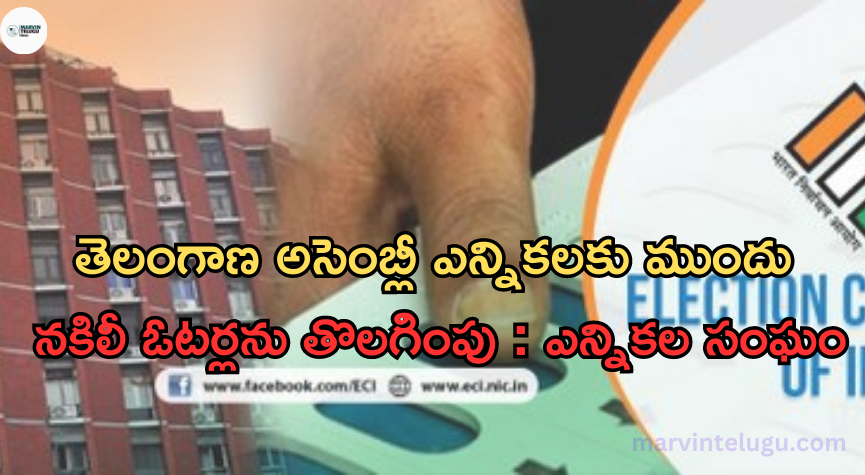 ఎన్నికల సంఘం Election Commission : Removal of fake voters before assembly elections