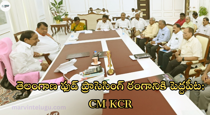 ఫుడ్‌ ప్రాసెసింగ్‌ తెలంగాణ-ఫుడ్-ప్రాసెసింగ్