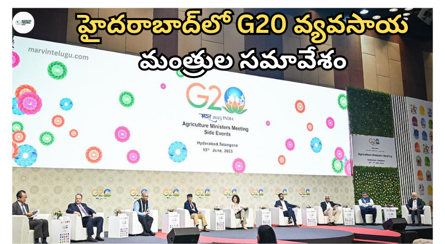 G20 Three days of G20 agriculture ministers' meetings