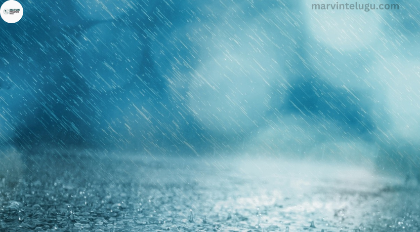 rains in 4 districts of Tamil Nadu weather