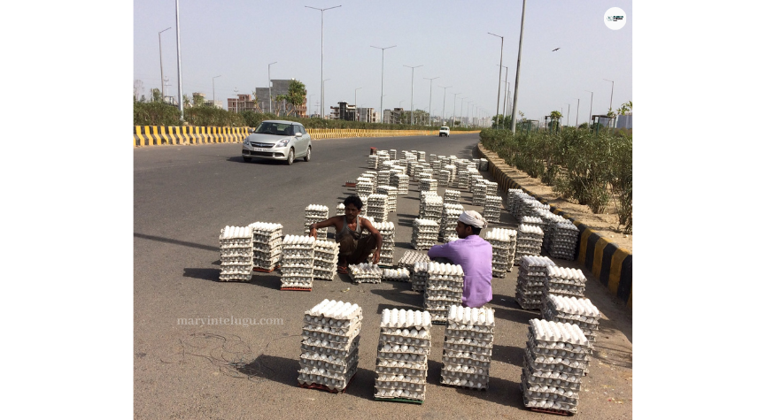 ఉమ్మడి కరీంనగర్ 30 lakh chicken eggs in common Karimnagar!