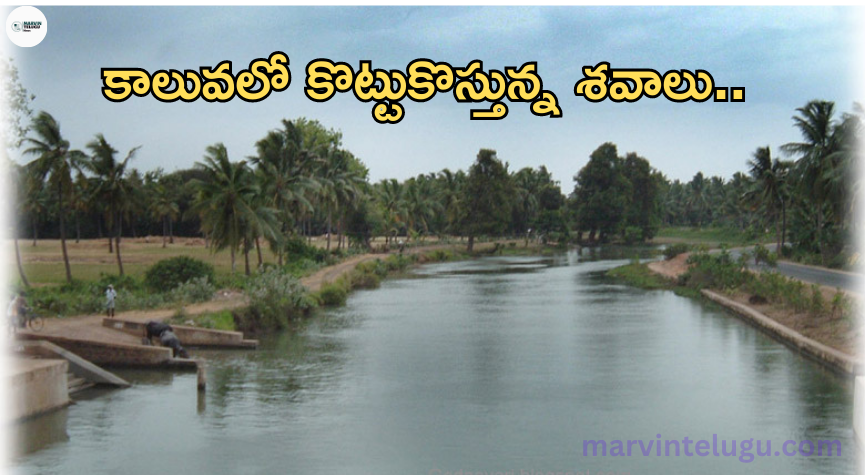 శవాలు dead-bodies-floating-in-the-canal