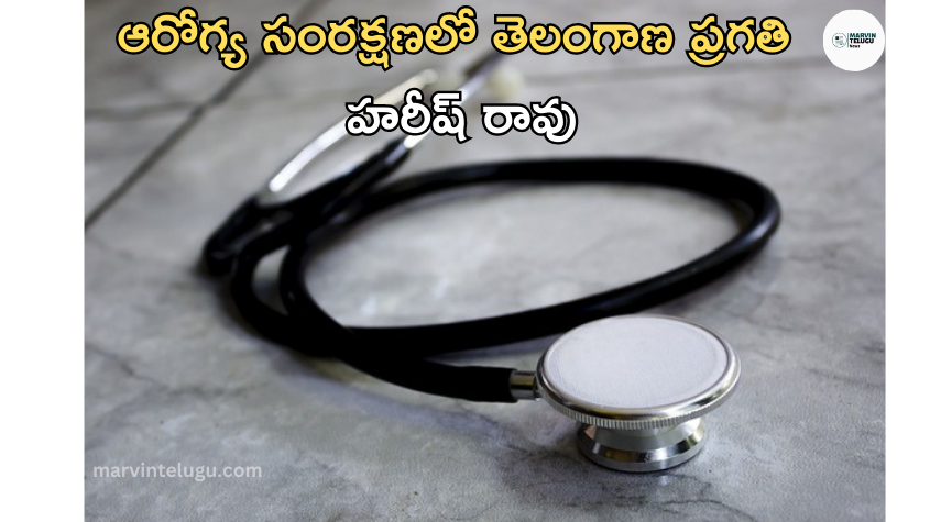 ఆరోగ్య Telangana progress in health care: Harish Rao