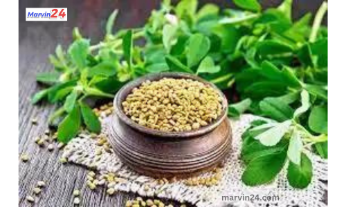 many benefits of fenugreek and fenugreek