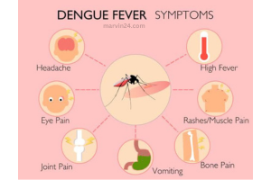 dengue