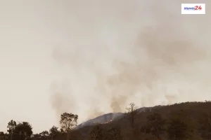 fire broke out in the Nallamala forest