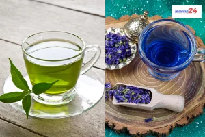 Which is better green tea or butterfly pea tea for weight loss